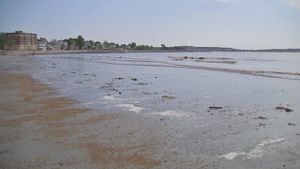 ‘We wouldn’t swim in the water here’: Mass. beaches closed due to excessive bacteria