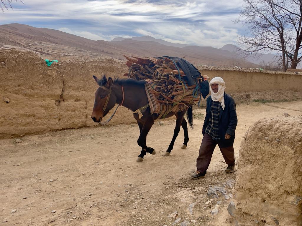 North Africa’s disappearing nomads: Why my community needs climate finance