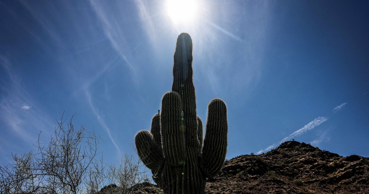 Temperatures expected to soar in the South over sizzling Father’s Day weekend