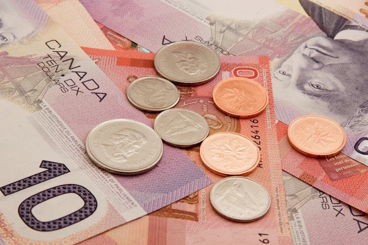 Canadian Dollar gains ground after Canadian GDP steps higher