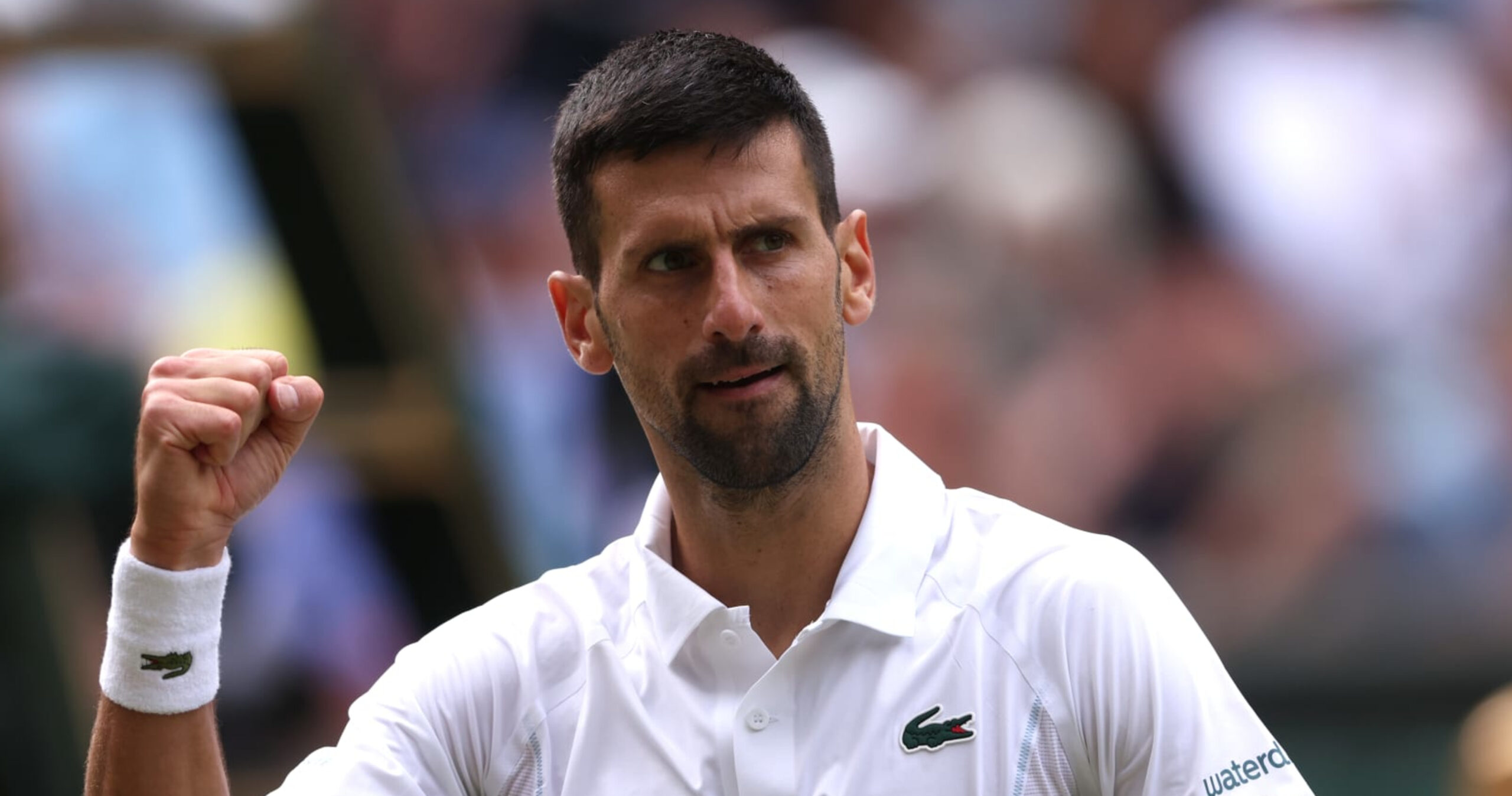 Novak Djokovic-Carlos Alcaraz Wimbledon Final Rematch Set as Tennis Fans Rejoice