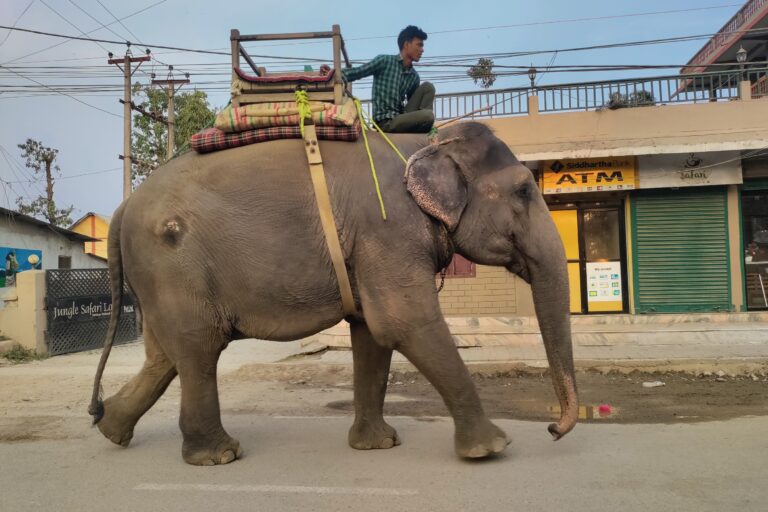 In Nepal, criticizing government conservation policies is becoming harder