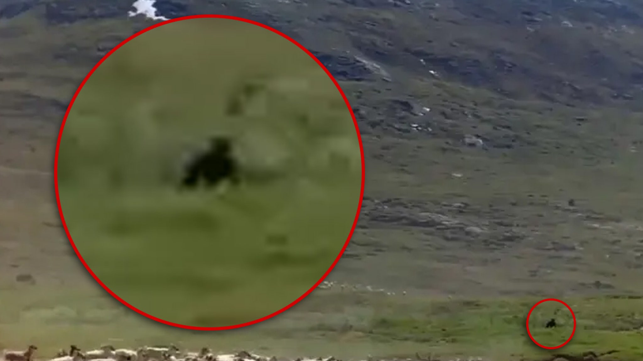 Bigfoot Purportedly Spotted in Resurfaced Documentary Clip, Running Among Caribou