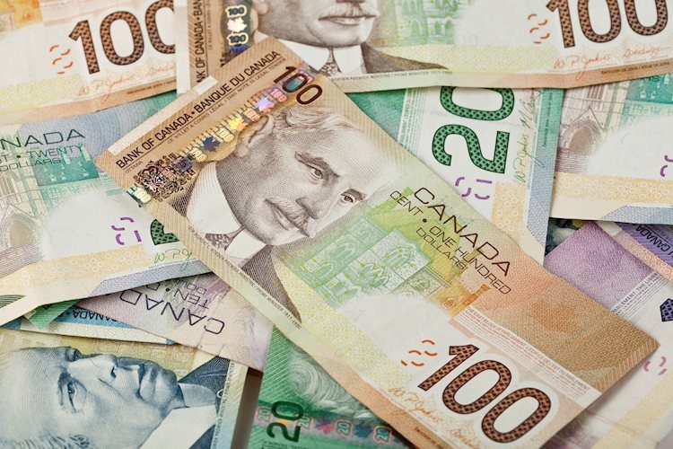 Canadian Dollar firms up against Greenback on Friday