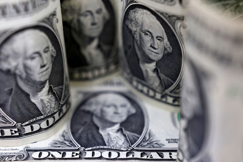 Dollar holds gains ahead of US inflation test