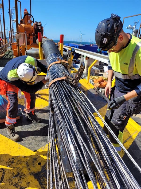 Dutch offshore wind farm fully online after cable repair fix