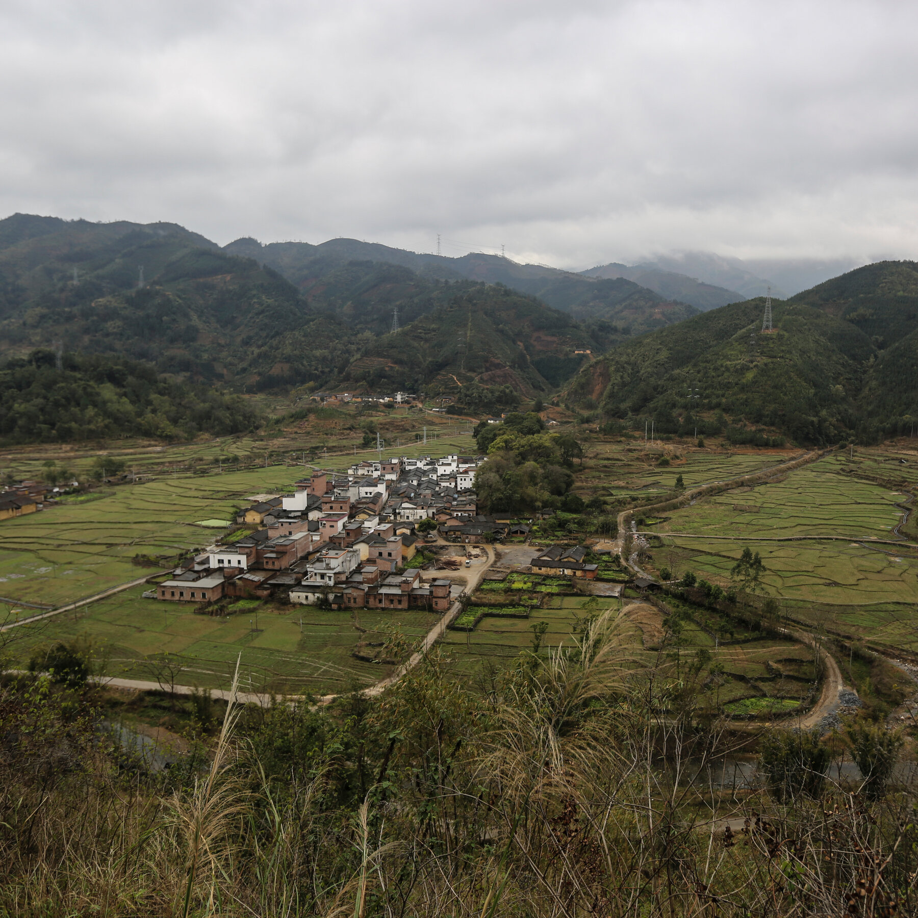 In Rural China, ‘Sisterhoods’ Demand Justice, and Cash