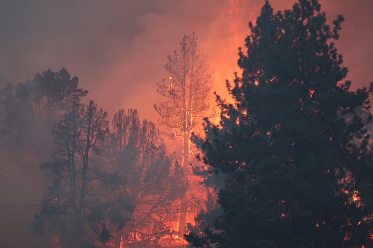 Retire out West? No, thanks. Wildfires kill 10,000 seniors prematurely every year.