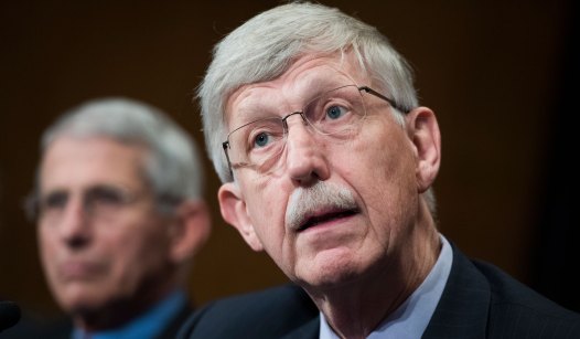 Francis Collins Hopes You Have Forgotten the Pandemic