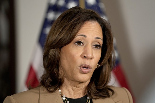 Dem Strategist Insists Kamala Does NOT Speak in Word Salad, Americans Are Just TOO DUMB to Understand Her