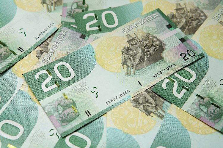 Canadian Dollar steady against mixed US data