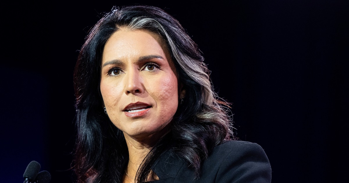 Nearly 100 former national security officials ‘alarmed’ at prospect of Gabbard leading intel community