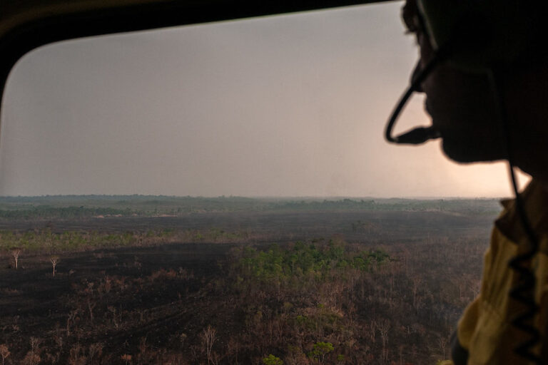 Brazil’s big push for tropical forest funding gets support for 2025 debut