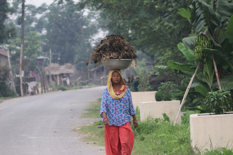 Nepal’s forest-protecting communities may miss out on World Bank carbon funds