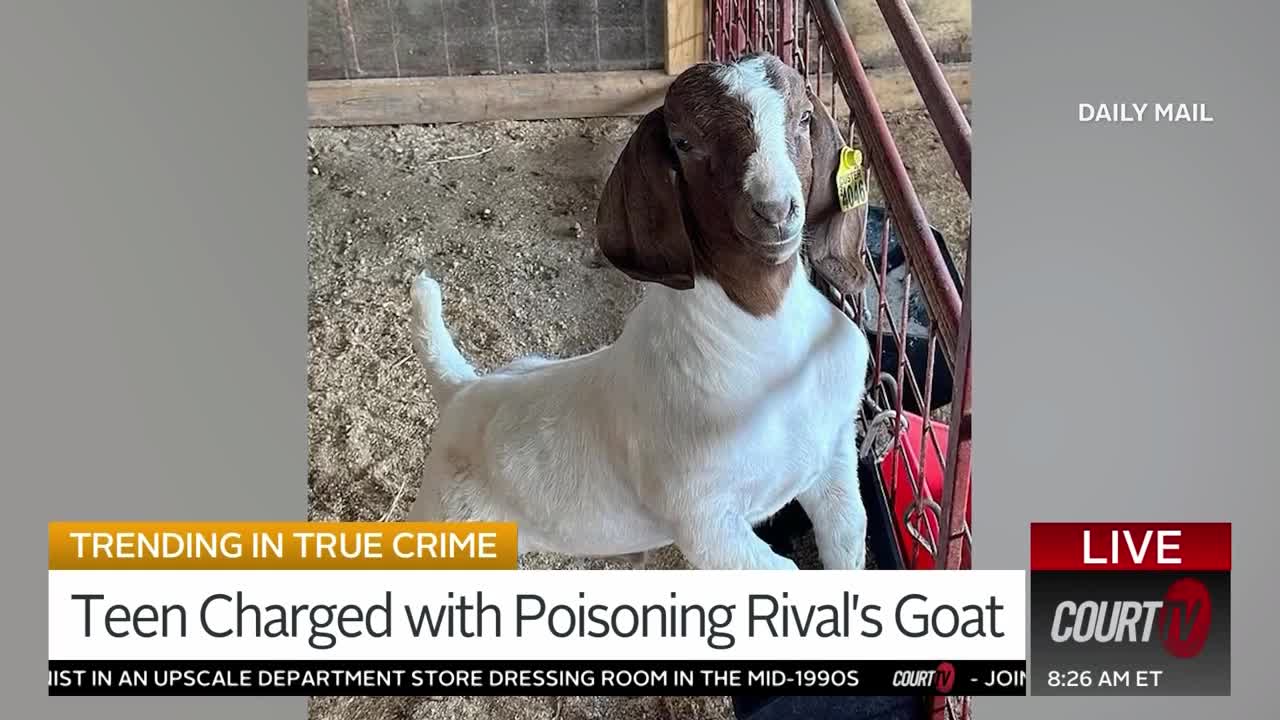 Cheerleader Charged in Killing of Rival’s Show Goat