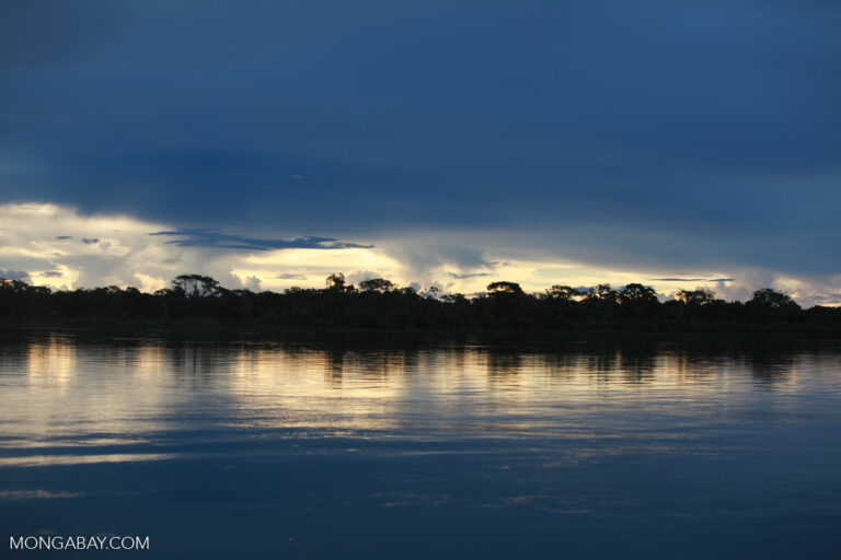 Conservation and the rise of corporations in the Pan Amazon