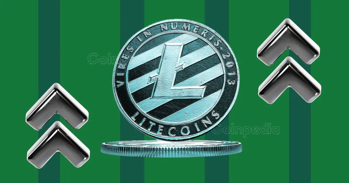 Litecoin Gains Big as Accumulation Continues to Surge: What to Expect from LTC Price Next?