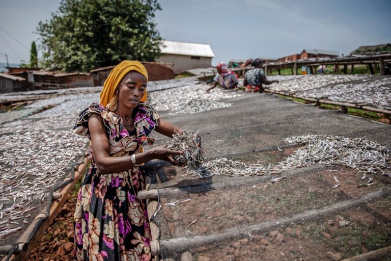 Small-scale fishers’ role in feeding the planet goes overlooked: Study