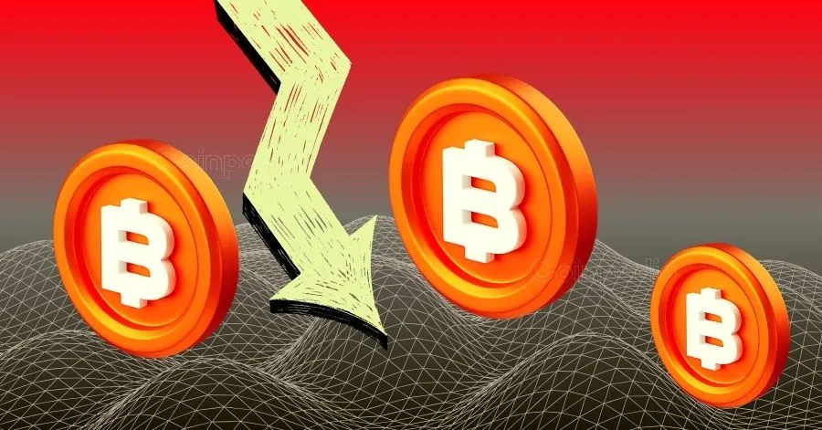 Bitcoin Drops Below $80K, Faces $270M Liquidation: What’s Next for BTC Price?